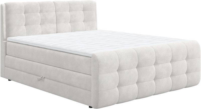 COTTA Boxspringbett Fort mit Bettkasten, inkl. Topper, erhältlich in verschiedenen Breiten (160cm, 180cm & 200cm) von COTTA