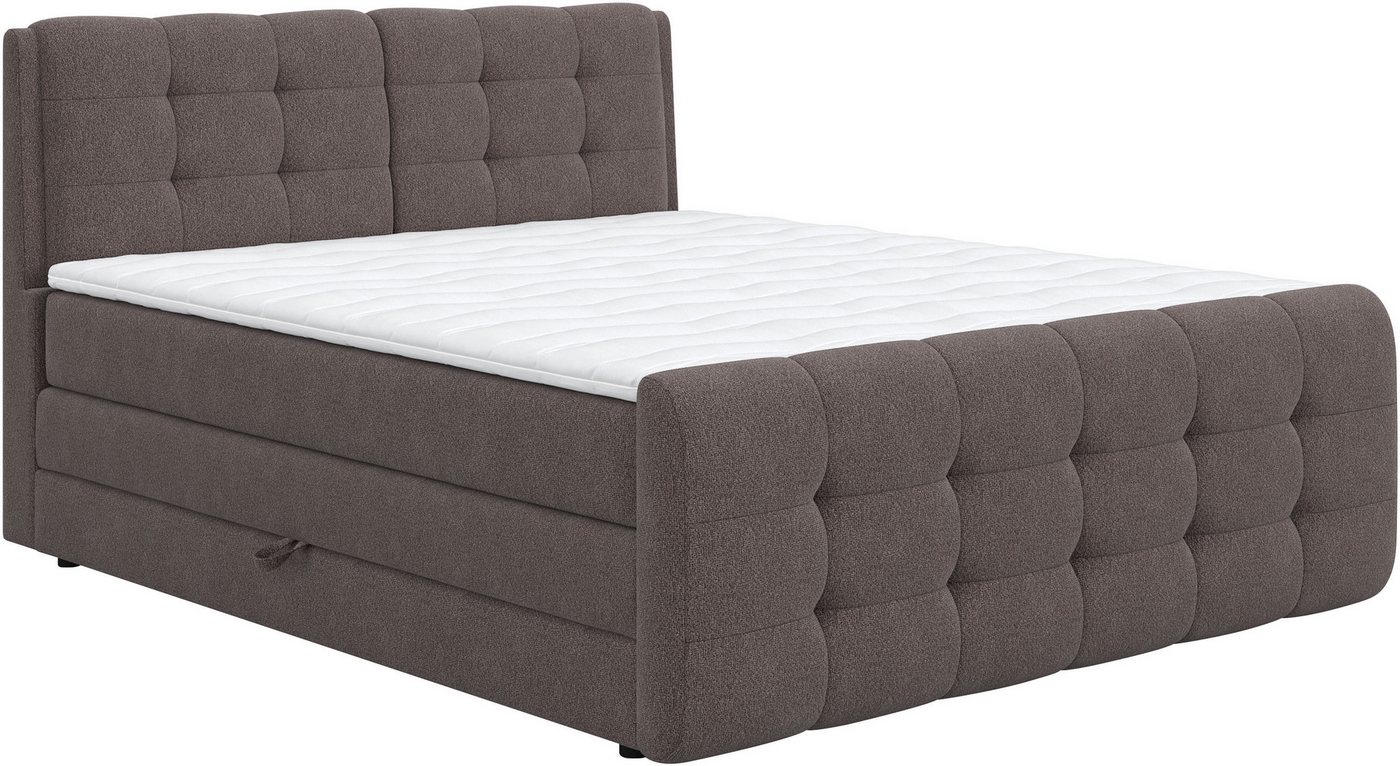 COTTA Boxspringbett Fort mit Bettkasten, inkl. Topper, erhältlich in verschiedenen Breiten (160cm, 180cm & 200cm) von COTTA