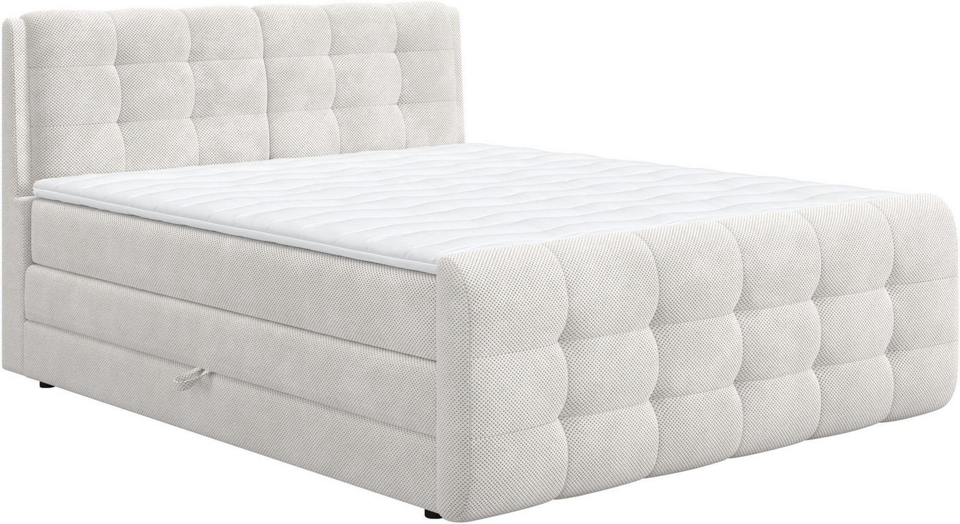 COTTA Boxspringbett Fort mit Bettkasten, inkl. Topper, erhältlich in verschiedenen Breiten (160cm, 180cm & 200cm) von COTTA