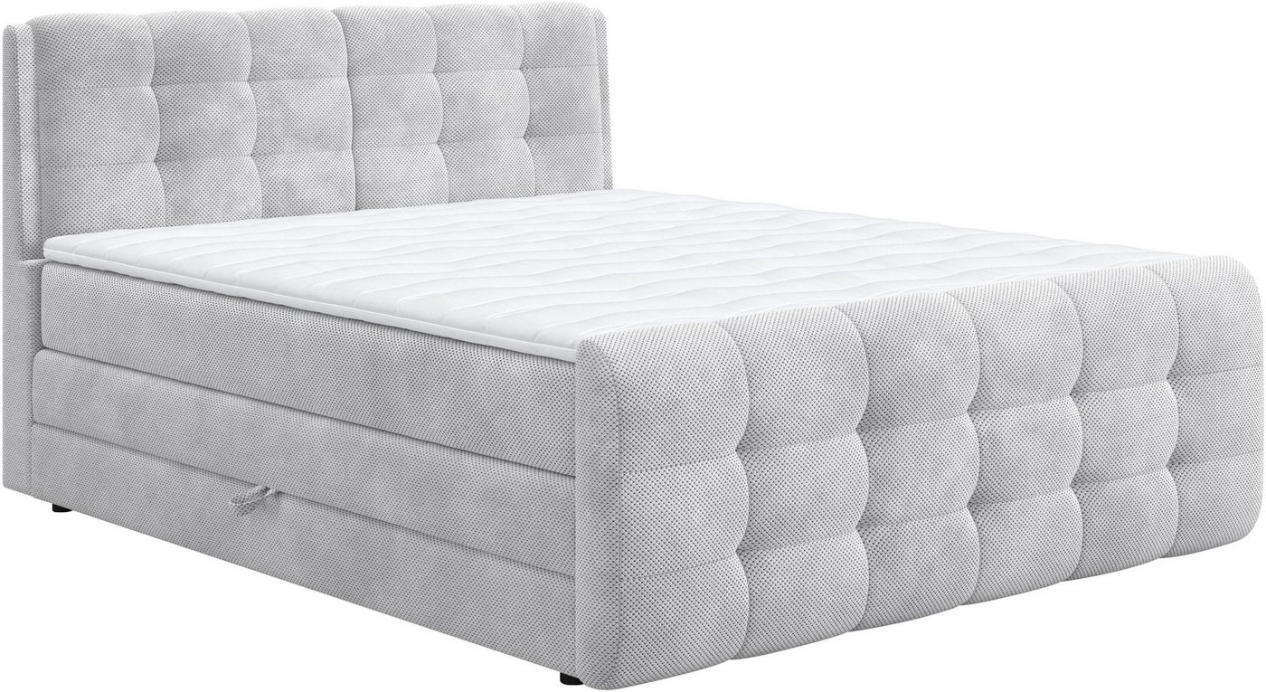 COTTA Boxspringbett Fort mit Bettkasten, inkl. Topper, erhältlich in verschiedenen Breiten (160cm, 180cm & 200cm) von COTTA