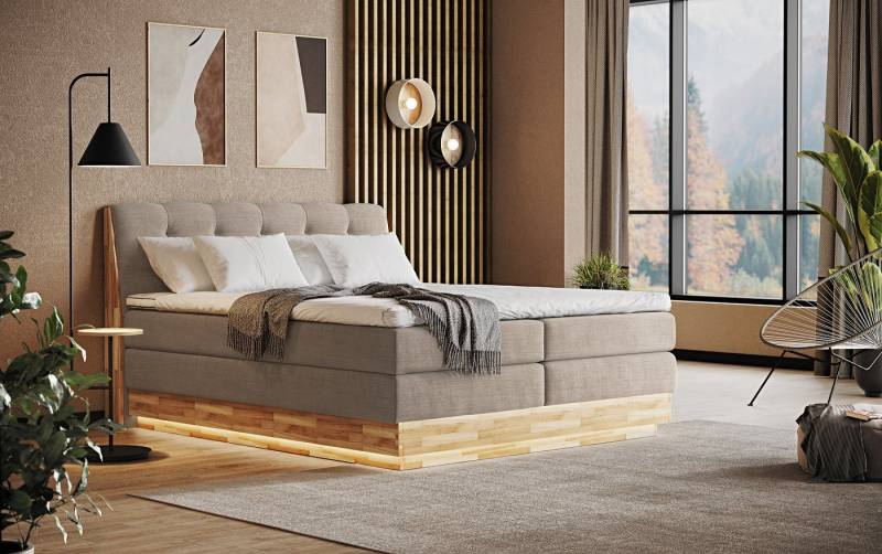 COTTA Boxspringbett Melissa - mit LED, Bettkästen, Kaltschaum-Topper & H2/H3 Matratzen (Bett inklusive Matratze, Topper und Bettkasten), mit LED, Kaltschaum-Topper, Bettkasten & H2/H3-Matratzen von COTTA