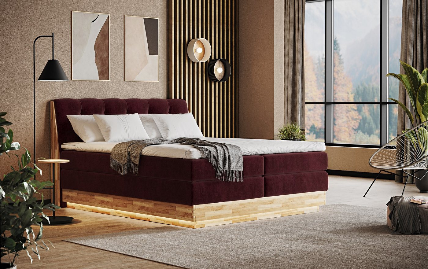 COTTA Boxspringbett Melissa - mit LED, Bettkästen, Kaltschaum-Topper & H2/H3 Matratzen (Bett inklusive Matratze, Topper und Bettkasten), mit LED, Kaltschaum-Topper, Bettkasten & H2/H3-Matratzen von COTTA