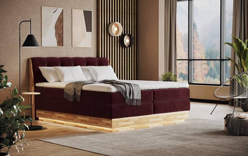 COTTA Boxspringbett Melissa - mit LED, Bettkästen, Kaltschaum-Topper & H2/H3 Matratzen (Bett inklusive Matratze, Topper und Bettkasten), mit LED, Kaltschaum-Topper, Bettkasten & H2/H3-Matratzen von COTTA