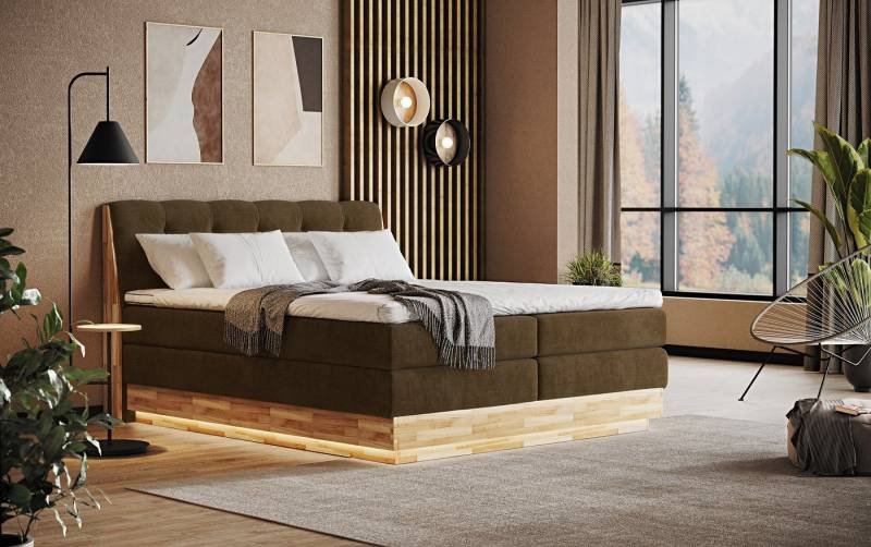 COTTA Boxspringbett Melissa - mit LED, Bettkästen, Kaltschaum-Topper & H2/H3 Matratzen (Bett inklusive Matratze, Topper und Bettkasten), mit LED, Kaltschaum-Topper, Bettkasten & H2/H3-Matratzen von COTTA