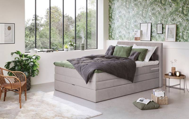 COTTA Boxspringbett Shark inkl. Bettkasten und Topper, erhältlich in den Breiten 140x200cm, 160x200cm und 180x200cm COTTA Boxspringbett Shark inkl. Bettkasten und Topper, erhältlich in den Breiten 140x200cm, 160x200cm und 180x200cm von COTTA