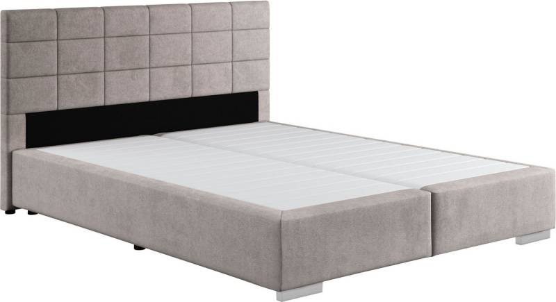 COTTA Boxspringbett Simba, Topseller! wahlweise mit oder ohne Matratze und Topper bestellbar von COTTA