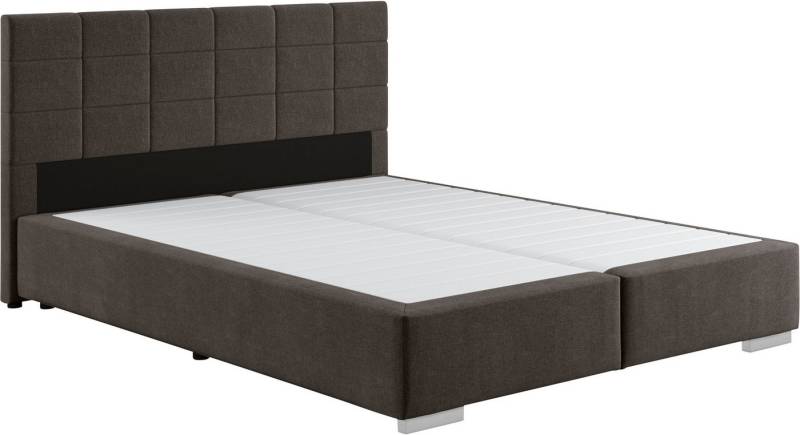 COTTA Boxspringbett Simba, Topseller! wahlweise mit oder ohne Matratze und Topper bestellbar von COTTA
