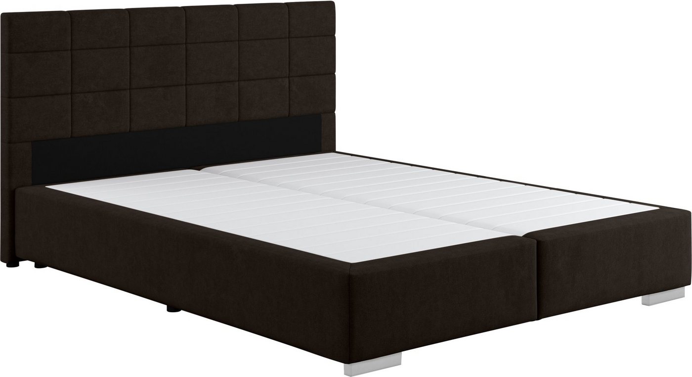 COTTA Boxspringbett Simba, Topseller! wahlweise mit oder ohne Matratze und Topper bestellbar COTTA Boxspringbett Simba, Topseller! wahlweise mit oder ohne Matratze und Topper bestellbar von COTTA