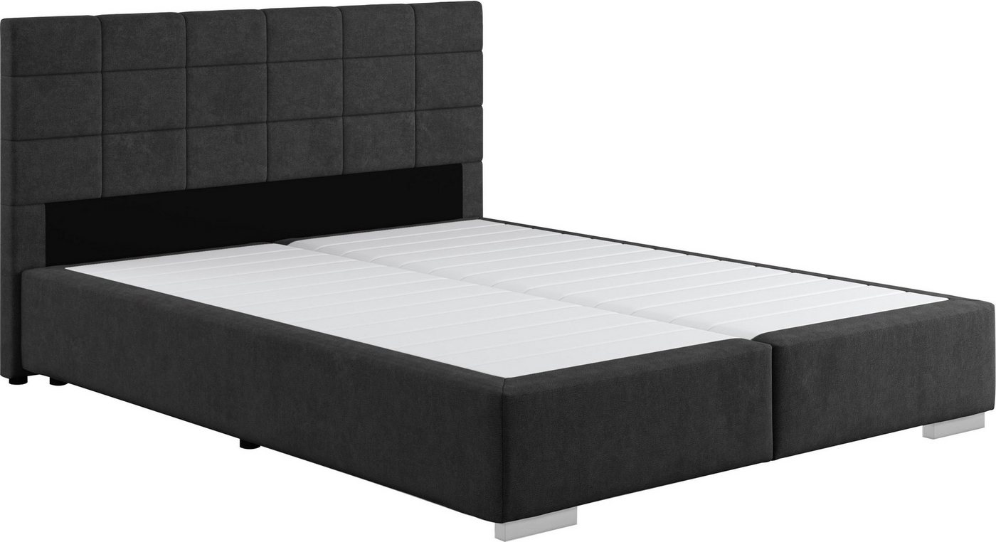 COTTA Boxspringbett Simba, Topseller! wahlweise mit oder ohne Matratze und Topper bestellbar COTTA Boxspringbett Simba, Topseller! wahlweise mit oder ohne Matratze und Topper bestellbar von COTTA
