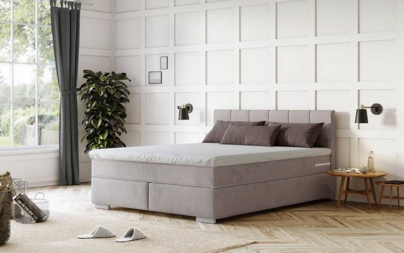 COTTA Boxspringbett Simba, Topseller! wahlweise mit oder ohne Matratze und Topper bestellbar von COTTA