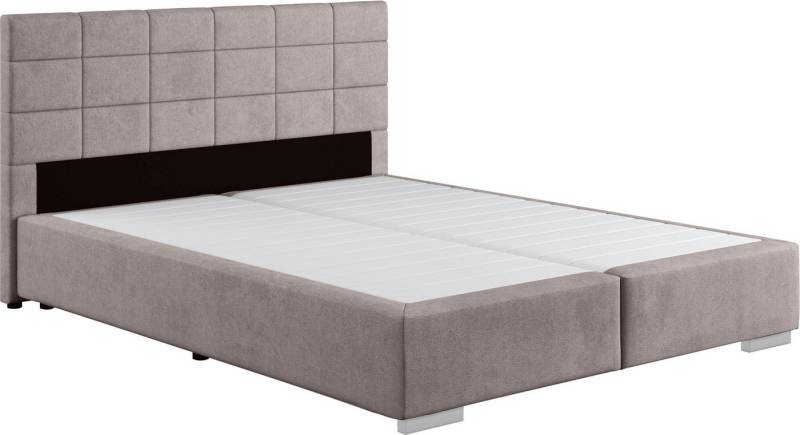 COTTA Boxspringbett Simba, Topseller! wahlweise mit oder ohne Matratze und Topper bestellbar von COTTA