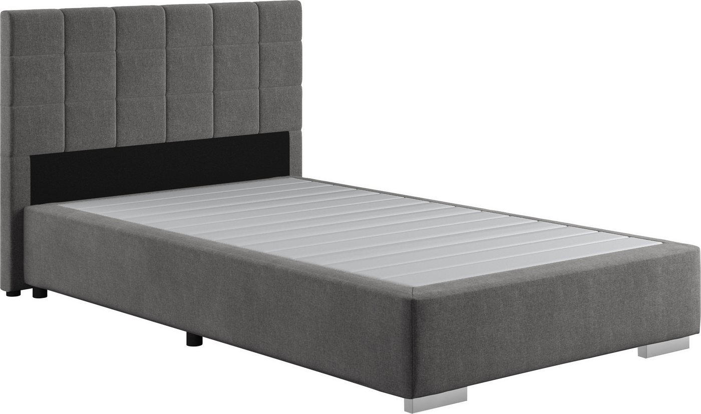 COTTA Boxspringbett Simba, Topseller! wahlweise mit oder ohne Matratze und Topper bestellbar COTTA Boxspringbett Simba, Topseller! wahlweise mit oder ohne Matratze und Topper bestellbar von COTTA