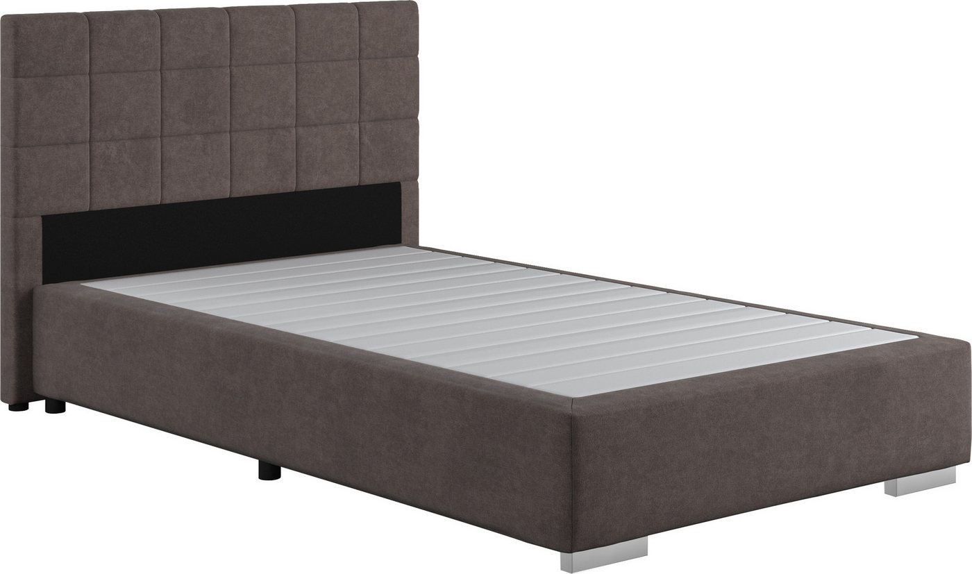 COTTA Boxspringbett Simba, Topseller! wahlweise mit oder ohne Matratze und Topper bestellbar COTTA Boxspringbett Simba, Topseller! wahlweise mit oder ohne Matratze und Topper bestellbar von COTTA