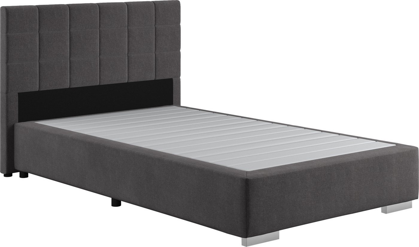 COTTA Boxspringbett Simba, Topseller! wahlweise mit oder ohne Matratze und Topper bestellbar COTTA Boxspringbett Simba, Topseller! wahlweise mit oder ohne Matratze und Topper bestellbar von COTTA