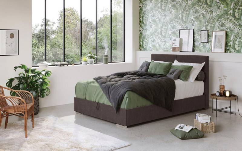 COTTA Boxbett Tom mit Bettkasten, Topper und Zierkissen, Bestseller, Unser Dauertiefpreis COTTA Boxbett Tom mit Bettkasten, Topper und Zierkissen, Bestseller, Unser Dauertiefpreis von COTTA