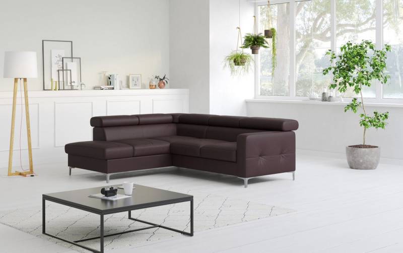 COTTA Ecksofa Sammy L-Form, mit Kopfteilverstellung, wahlweise mit Bettfunktion & Bettkasten von COTTA