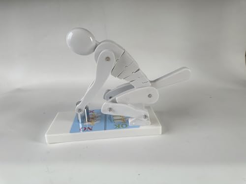 Modell zum korrekten Heben des menschlichen Körpers, Demonstrationsmodell for die Wirbelsäulenkraft beim Gewichtheben, Lehrmodell zum Schutz der Lendenwirbelsäule(White) von COUCHO