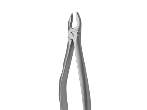 FORCEPS N2 INCISIVOS Y CANINOS COVETRUS von COVETRUS