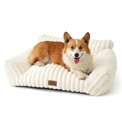 COZY KISS Orthopädisches Hundesofa für Kleine und Mittelgroße Hunde, Weiches Hundebett mit Stützkanten & Rutschfester Basis, Waschbar, für Schlafzimmer oder Fensterbank (80x60x33cm, Creme) COZY KISS Orthopädisches Hundesofa für Kleine und Mittelgroße Hunde, Weiches Hundebett mit Stützkanten & Rutschfester Basis, Waschbar, für Schlafzimmer oder Fensterbank (80x60x33cm, Creme) von COZY KISS