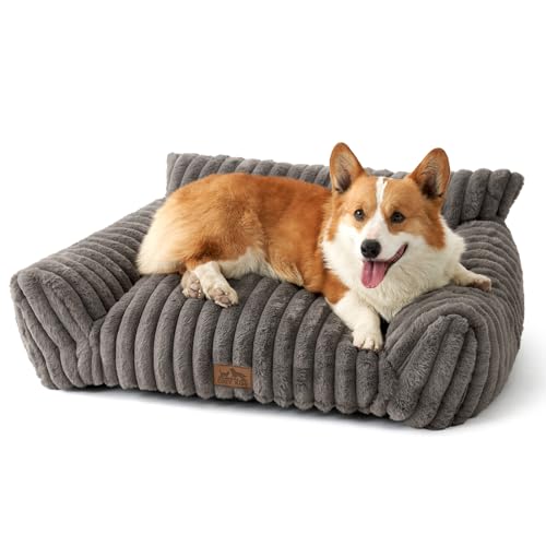 COZY KISS Orthopädisches Hundesofa für Kleine und Mittelgroße Hunde, Weiches Hundebett mit Stützkanten&Rutschfester Basis, Waschbar, für Schlafzimmer oder Fensterbank Grau, 80x60x33cm COZY KISS Orthopädisches Hundesofa für Kleine und Mittelgroße Hunde, Weiches Hundebett mit Stützkanten&Rutschfester Basis, Waschbar, für Schlafzimmer oder Fensterbank Grau, 80x60x33cm von COZY KISS