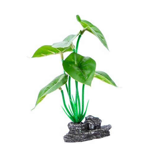 CPAOWEHF Fishtanks Dekoration Realistische Grüne Pflanze Mit Harz Basis Natürliche Looks Für Heimnutzung Und Aquarien Ornament Landschaft von CPAOWEHF