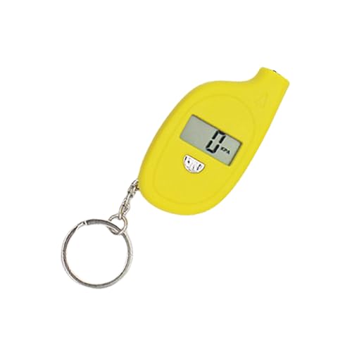 Tragbarkeitsreifen Luftdrucktester Mit Schlüsselbund Für Ein Sicheres Mit Einfach Zu Bedienender Batterie Batterie Reifen Druckprüfung von CPAOWEHF