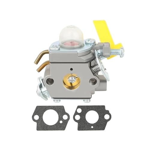 CPCDPOUNNK Vergaserdichtung für RBC30SESA RBC30SET RBC30SBT RLT30CET RBC30SBSA Rasentrimmer Gartengeräte Teile und Zubehör von CPCDPOUNNK