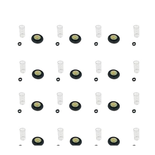 Vergaser-Luftabsperrventil-Membran-Set, kompatibel mit MIO SPORTY MIO SMILE MIO SOUL FINO KARBU, 16 Stück Vergaser-Luftabsperrventil-Membran-Set, kompatibel mit MIO SPORTY MIO SMILE MIO SOUL FINO KARBU, 16 Stück von CPCDPOUNNK