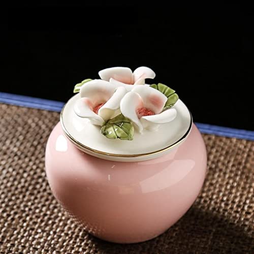 CPDDNGZMKK Gedenkstätten Für Haustiere Miniatur-Beerdigungsurne, Kleine Urnen Für Menschliche Asche, Keramik-Aschenhalter Für Erwachsene, Hunde Und Katzen Trauerbox(4) von CPDDNGZMKK