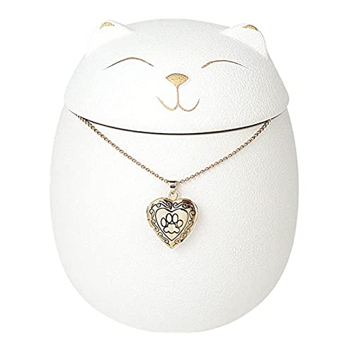 Gedenkstätten Für Haustiere Pet Urn For Dogs Cats Ashes Keepsake Memorial Box Funeral Set Burial Urns For Cremated Remains Ash Vial Adult Funeral Urn Pet Cat And Dog Urn 12866 Trauerbox(Green) von CPDDNGZMKK