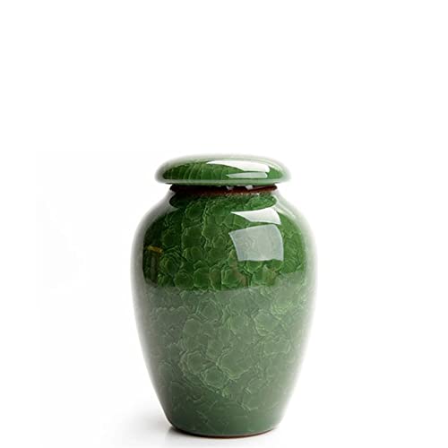Gedenkstätten Für Haustiere Pet Urn For Dogs Cats Ashes Keepsake Memorial Box Funeral Set Burial Urns For Cremated Remains Ash Vial Adult Funeral Urn Pet Cat And Dog Urn 8073 Trauerbox(Green) von CPDDNGZMKK