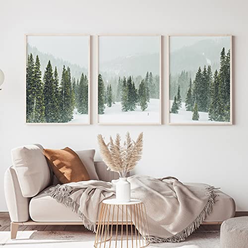 CPGG Set Von 3 Kiefer-Baum-Druck-Winterwald-Malerei Wandkunst Poster Nordisch Schnee Weihnachten Bilder Bäume Modern Heim Badezimmer Decorative-30 * 40Cm (Ungerahmt) von CPGG