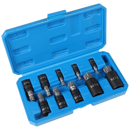 CPROSP 10 Stück Vielzahn Nuss Satz 1/2'', 1/4'', 3/8'' M4 M5 M6 M8 M9 M10 M12 M14 M16 M18 Steckschlüsselsatz, Innenvielzahn bit Satz mit Bewahrungsbox, Vielzahn Stecknuss für Autoreparaturen, Mechanik von CPROSP