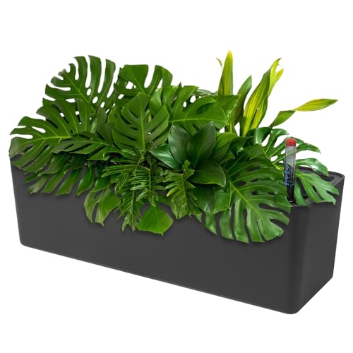 CPROSP 40cm Selbstbewässerung Blumentopf Rechteckig Mit Wasserstandsanzeigen, Selbstwässerndes System, Blumenampel, Hängetöpfe Mit Drainagelöchern Und Wasserspeicher von CPROSP