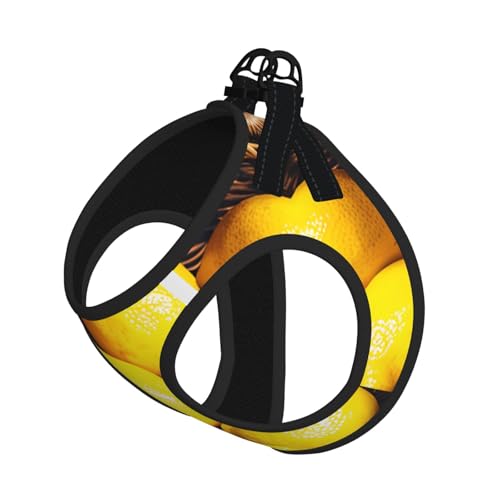 L Haustier-Leine, Weste und Hundegeschirr, kleiner Korb, Zitronenmuster, mit Schnalle, Hundebegleiter, Outdoor-Reisen L Haustier-Leine, Weste und Hundegeschirr, kleiner Korb, Zitronenmuster, mit Schnalle, Hundebegleiter, Outdoor-Reisen von CPyuqw