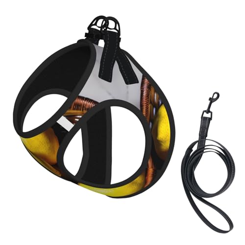M Haustier-Leine, Weste und Hundegeschirr, klein, ein Korb, Zitronenmuster, mit Schnalle, Hundebegleiter, Outdoor-Reisen M Haustier-Leine, Weste und Hundegeschirr, klein, ein Korb, Zitronenmuster, mit Schnalle, Hundebegleiter, Outdoor-Reisen von CPyuqw
