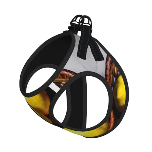 M Haustier-Leine, Weste und Hundegeschirr, klein, ein Korb, Zitronenmuster, mit Schnalle, Hundebegleiter, Outdoor-Reisen M Haustier-Leine, Weste und Hundegeschirr, klein, ein Korb, Zitronenmuster, mit Schnalle, Hundebegleiter, Outdoor-Reisen von CPyuqw