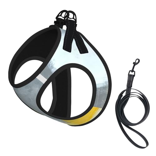 S Haustier-Leine, Weste und Hundegeschirr, klein, Grau und Gelb, abstrakter Kunstdruck, Leinenset mit Schnalle, Hundebegleiter, Outdoor-Reisen von CPyuqw
