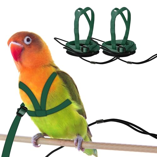 CQJ 2er Set Papageien Geschirr mit Leine – Verstellbares Training Geschirr Anti-Biss Design, Outdoor Flugtraining Leine für Vögel, Passend für Brustumfang 24-51 cm (M grün) von CQJ