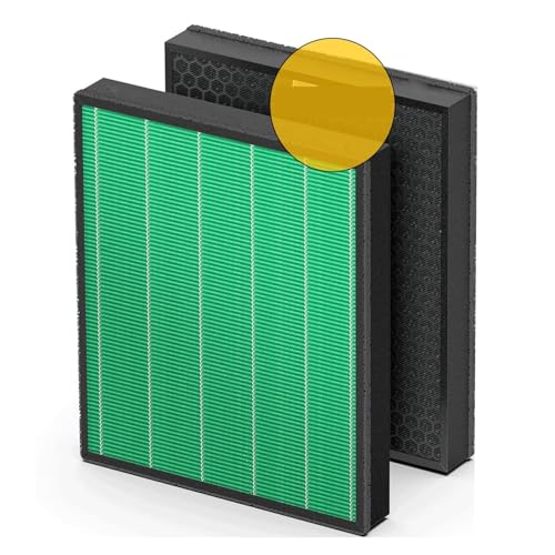 Luftreinigerfilter: Kompatibel Mit Coway-Luftreiniger, For AP-1019C-Ersatzfilter H13 Und Aktivkohlefilter(2pcs) von CQJFCYBRA