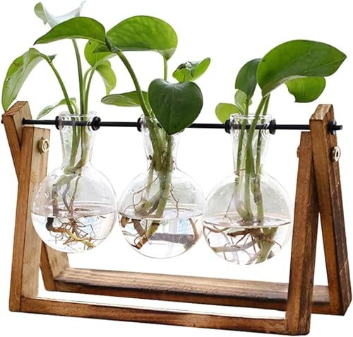 Terrarien für Blumenkübel Anlage Terrarium Mit Holz Ständer Pflanzer Glühbirne Glas Vase Metall Swivel Halter Tabletop Flaschengarten Terrarien für Blumenkübel Anlage Terrarium Mit Holz Ständer Pflanzer Glühbirne Glas Vase Metall Swivel Halter Tabletop Flaschengarten von CQJJXKYC