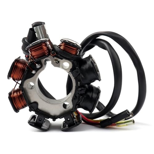 CQNEUDKPI Generator-Statorspule 31120-KT0-831 für H&on&da XR200R XR200 XR 200 R 1990-2002 CQNEUDKPI Generator-Statorspule 31120-KT0-831 für H&on&da XR200R XR200 XR 200 R 1990-2002 von CQNEUDKPI