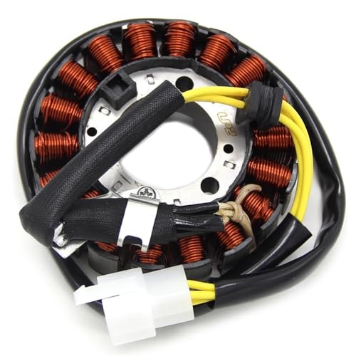 CQNEUDKPI Magnet-Statorspule für Motorradgenerator H&on&DA NSS250 250 MF06 31120-KPB-008 31120-KAB-018 CQNEUDKPI Magnet-Statorspule für Motorradgenerator H&on&DA NSS250 250 MF06 31120-KPB-008 31120-KAB-018 von CQNEUDKPI