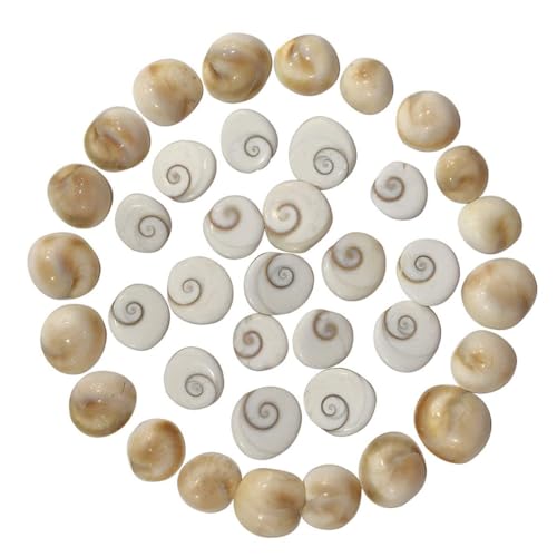 CRAFTSTRIBE Gomti Chakra for Wealth, Health & Success | 100% Pure Natural Gomti River Stone for Peace, Prosperity and Energized-108 Pcs CRAFTSTRIBE Gomti Chakra for Wealth, Health & Success | 100% Pure Natural Gomti River Stone for Peace, Prosperity and Energized-108 Pcs von CRAFTSTRIBE