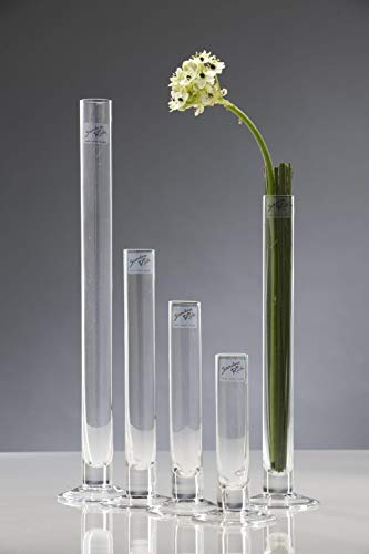 CREAFLOR HOME 5er Set Reagenzglas Vasen SOLIFLEUR mit Fuss 15-40cm Alle Größen Sandra Rich von CREAFLOR HOME
