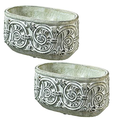 CREAFLOR HOME Zement-Jardiniere oval mit Ornament 19x11x10cm grau grün CREAFLOR HOME Zement-Jardiniere oval mit Ornament 19x11x10cm grau grün von CREAFLOR HOME