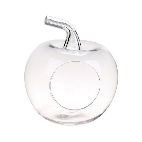 CREAFLOR HOME Dekoglas Kugelvase Terrarium Apfel H. 21cm klar transparent aus Glas Duif von CREAFLOR HOME