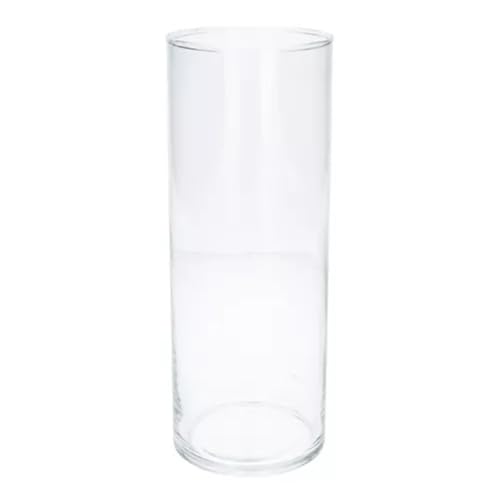 CREAFLOR HOME Dekoglas Vase Basic Collection Zylinder H. 25cm D. 9,5cm transparent Glas Duif von CREAFLOR HOME