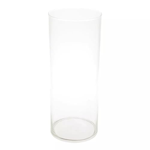 CREAFLOR HOME Dekoglas Vase Basic Collection Zylinder H. 30cm D. 12cm transparent Glas Duif von CREAFLOR HOME