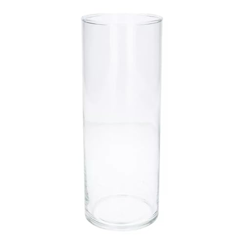CREAFLOR HOME Dekoglas Vase Basic Collection Zylinder H. 35cm D. 9,5cm transparent Glas Duif von CREAFLOR HOME